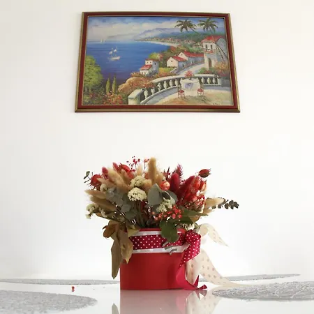 Misic トロギール