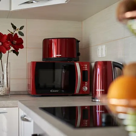 Misic トロギール