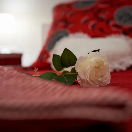 Appartement Misic Trogir